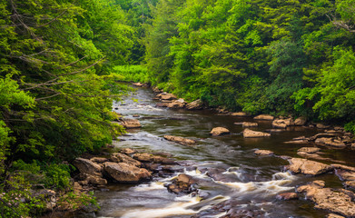 Obraz premium Cascades in the Blackwater River from a bridge at Blackwater Fal