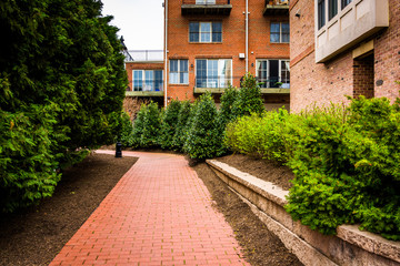 Fototapeta na wymiar Condominiums and bushes along a brick pathway in Fells Point, Ba