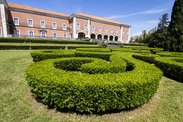 View of a bush maze garden 