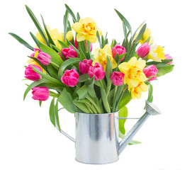 bunch of  tulips and daffodils in vase