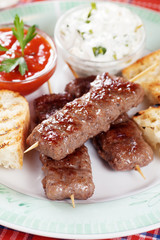 Kebab, meat skewer with tomato and cream sauce