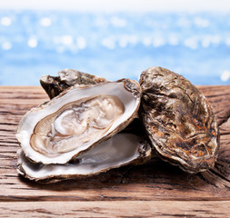 Raw oyster on wood. Sea at the background.