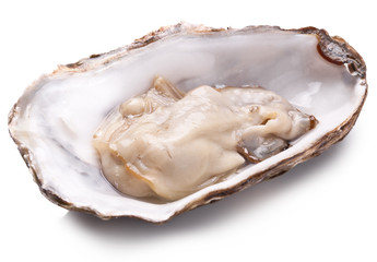 Fresh opened oyster. Isolated on a white background.