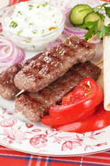 Kebab, meat skewer with fresh vegetable