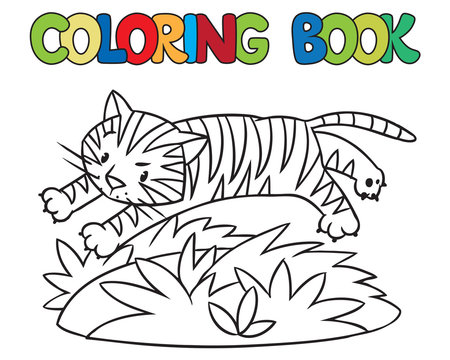 Coloring book of funny wild  tiger