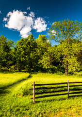 Fototapeta na wymiar Fence in a grassy field, at Antietam National Battlefield, Maryl