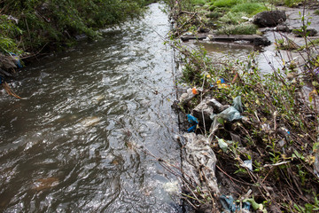 Water pollution. Garbage near the urban stream