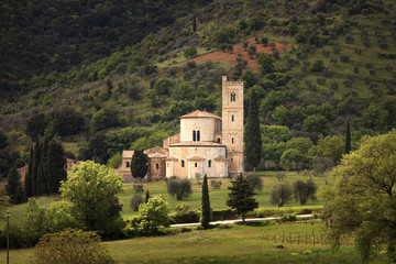 Fototapeta na wymiar Sant Antimo Montalcino church and olive tree. Orcia, Tuscany, It