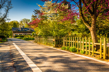 Gardens along a path through Cylburn Arboretum, Baltimore, Maryl