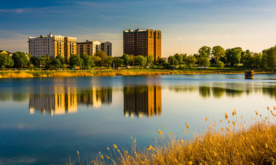 Grasses and reflections in Druid Lake, at Druid Hill Park, Balti