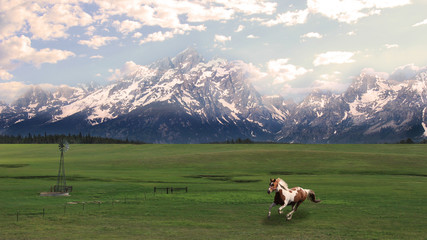 The Grand Tetons with Galloping Horse