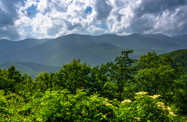 Fototapeta na wymiar Mid-day view of the Appalachian Mountains from the Blue Ridge Pa