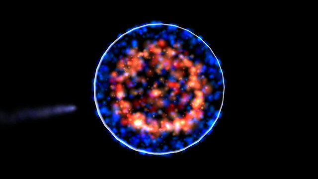microscopic view of fertilization process