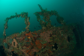 Naklejka na ściany i meble Boat wreck in Ambon, Maluku, Indonesia underwater