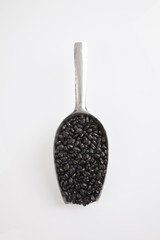 Black beans with transfer scoop