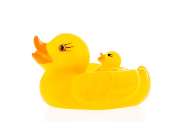 closeup duck toy on white background.