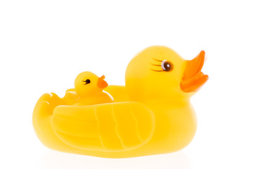 closeup duck toy on white background.