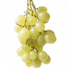 White grapes on white background