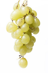 White grapes on white background