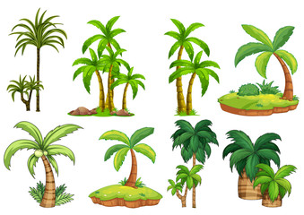 Obraz premium Palm trees