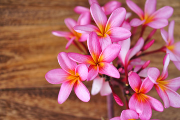 Obraz na płótnie Canvas Frangipani or Plumeria flower on wooden background. Spa concept