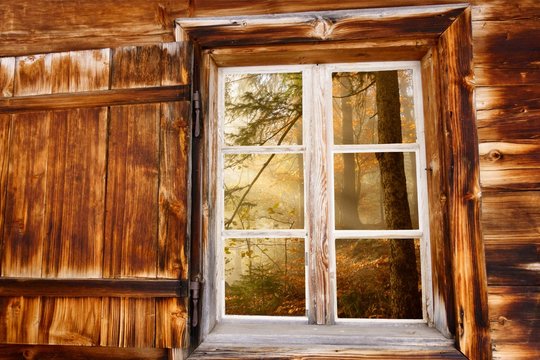 Herbstwald im Holzfenster