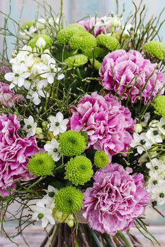 Bouquet of pink carnation, arabian star flower (ornithogalum ara