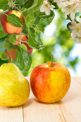 image of an apple and pear on a wooden table