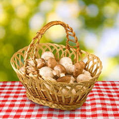 champignons in basket closeup