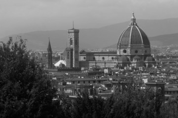 Panoramic view, Florence, Italy