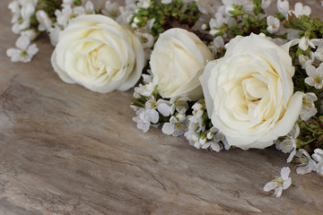 Weisse Rosen