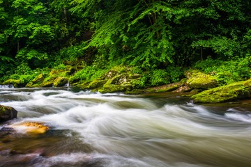 Long exposure of cascades on Raven Fork, near Cherokee, North Ca