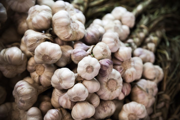 Large bunch of white garlic hanging on the counter