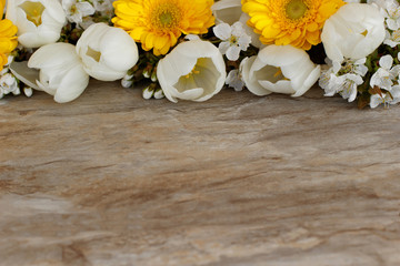 Tulpen mit Gerberablüten