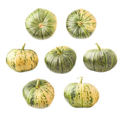 Green pumpkin isolated