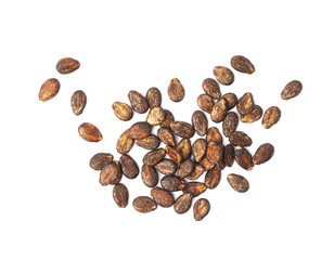 Pile of watermelon seeds isolated