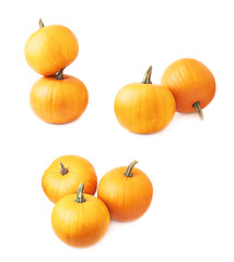 Orange pumpkin composition isolated