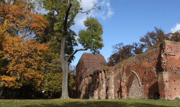 Klosterruine Eldena bei Greifswald