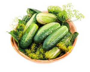Cucumbers and dill leaves still life in wooden bowl isolated on