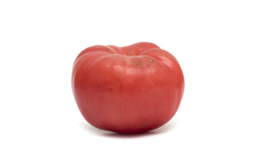 Fresh red tomato. Photo.