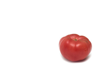 Fresh red tomato. Photo.