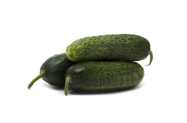 Fresh green cucumber. Photo.