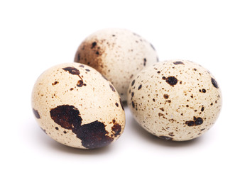 Obraz premium quail eggs