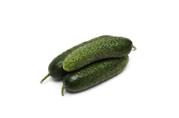 Fresh green cucumber. Photo.