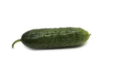 Fresh green cucumber. Photo.