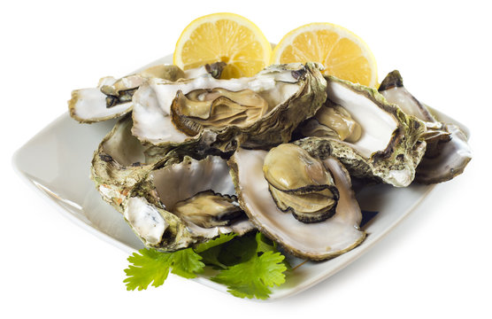 Plato de ostras