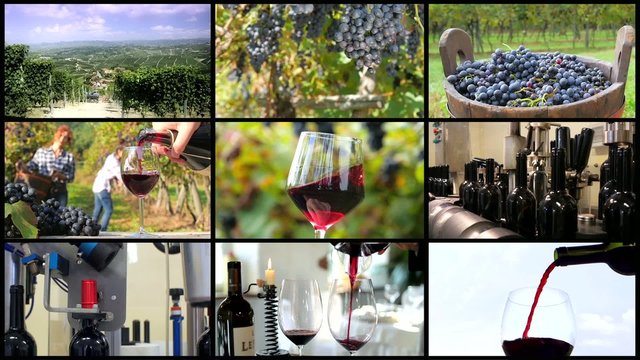 winemaking montage