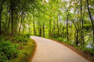 Fototapeta na wymiar Paved path through the forest at Centennial Park, Columbia, Mary