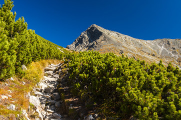 mountain Krywań