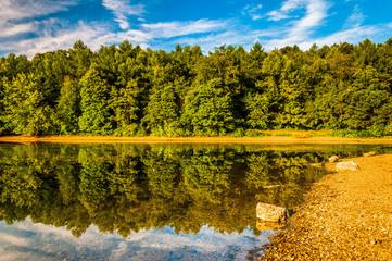 Reflections along the shore of Lake Marburg, Codorus State Park,